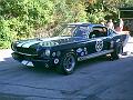 shelby