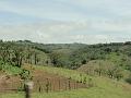 DSC00085