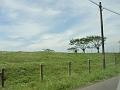 DSC00087