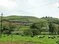 DSC00091