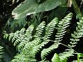 DSC00096