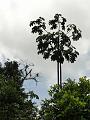 DSC00097