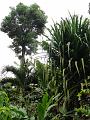 DSC00137