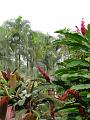 DSC00140
