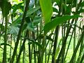 DSC00142