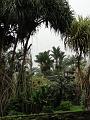 DSC00158