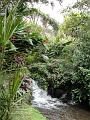 DSC00161