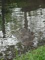 DSC00169