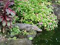 DSC00170