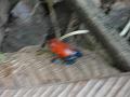 DSC00177