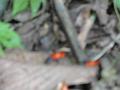 DSC00183