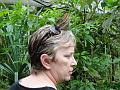 DSC00187
