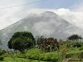 DSC00194