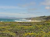 DSC02176