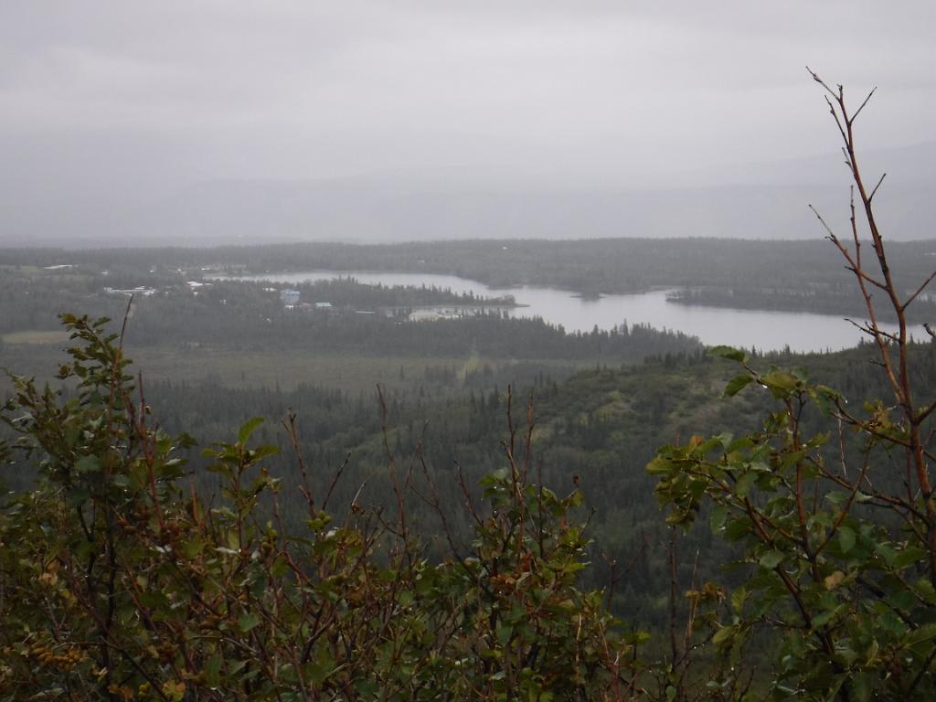 DSCF0005
