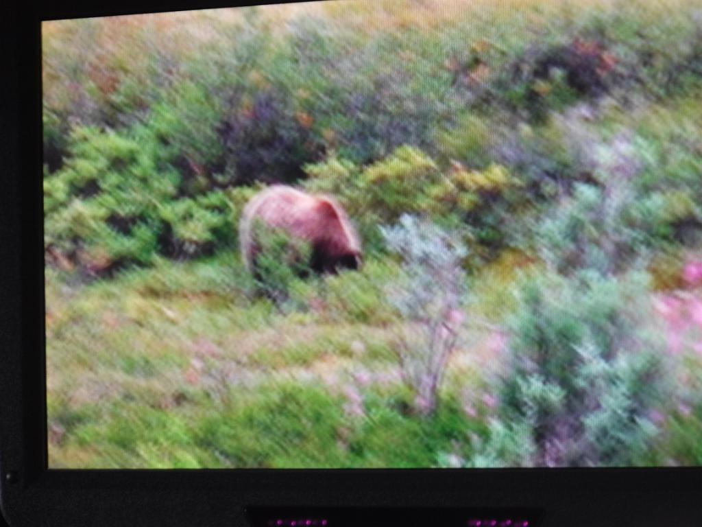 DSCF0028