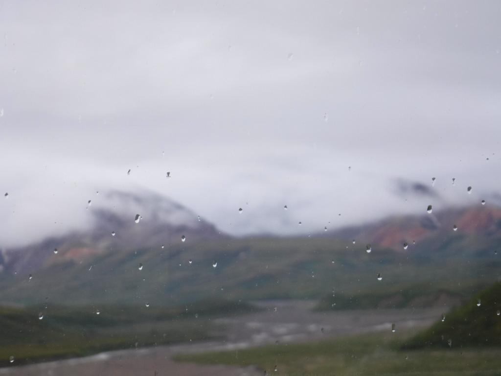 DSCF0029