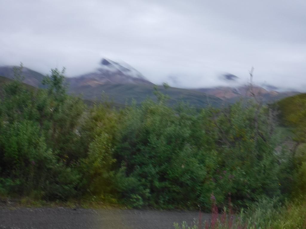 DSCF0031