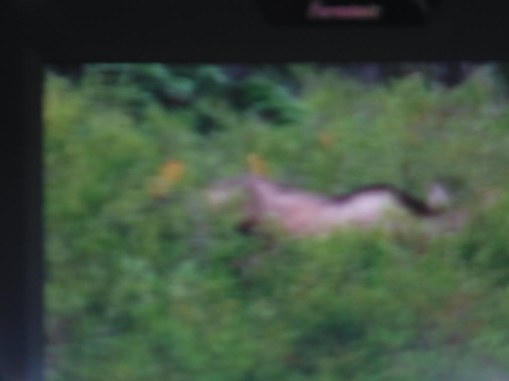 DSCF0058