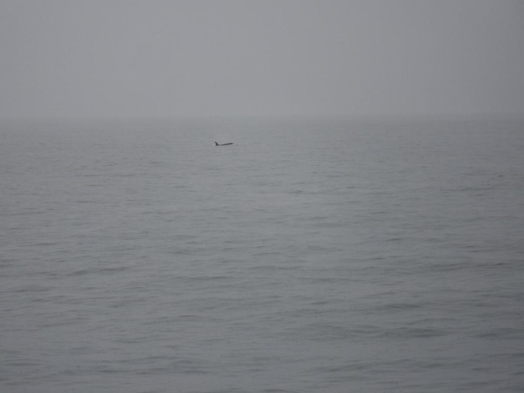 DSCF0091