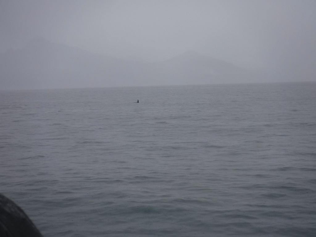 DSCF0094