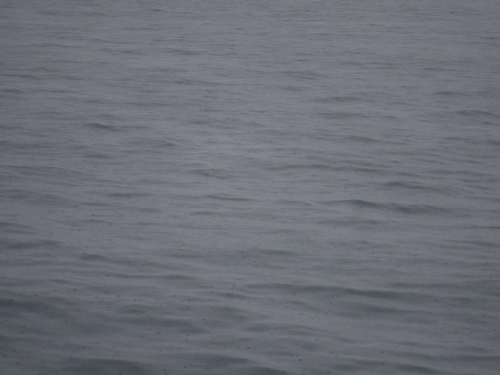 DSCF0095