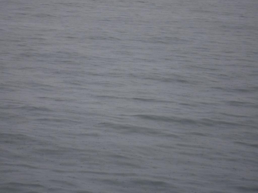 DSCF0096