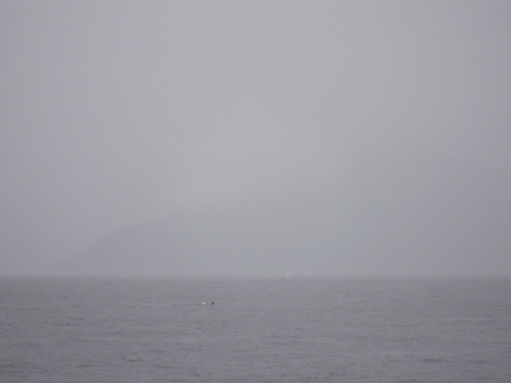DSCF0105