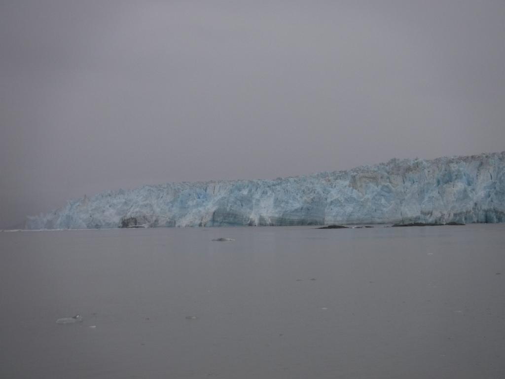 DSCF0117