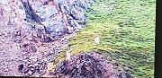 20220806_065148