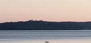20220810_054638