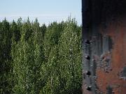 DSCF0001