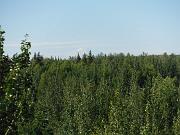 DSCF0003