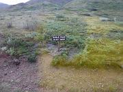 DSCF0009