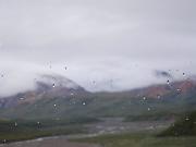 DSCF0029