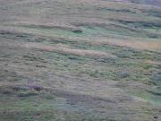 DSCF0034