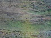 DSCF0037