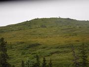 DSCF0047