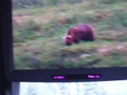 DSCF0051