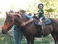 ryan-horse