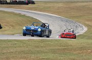 IMG_3919
