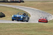 IMG_3920