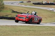 IMG_3921