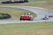 IMG_6294